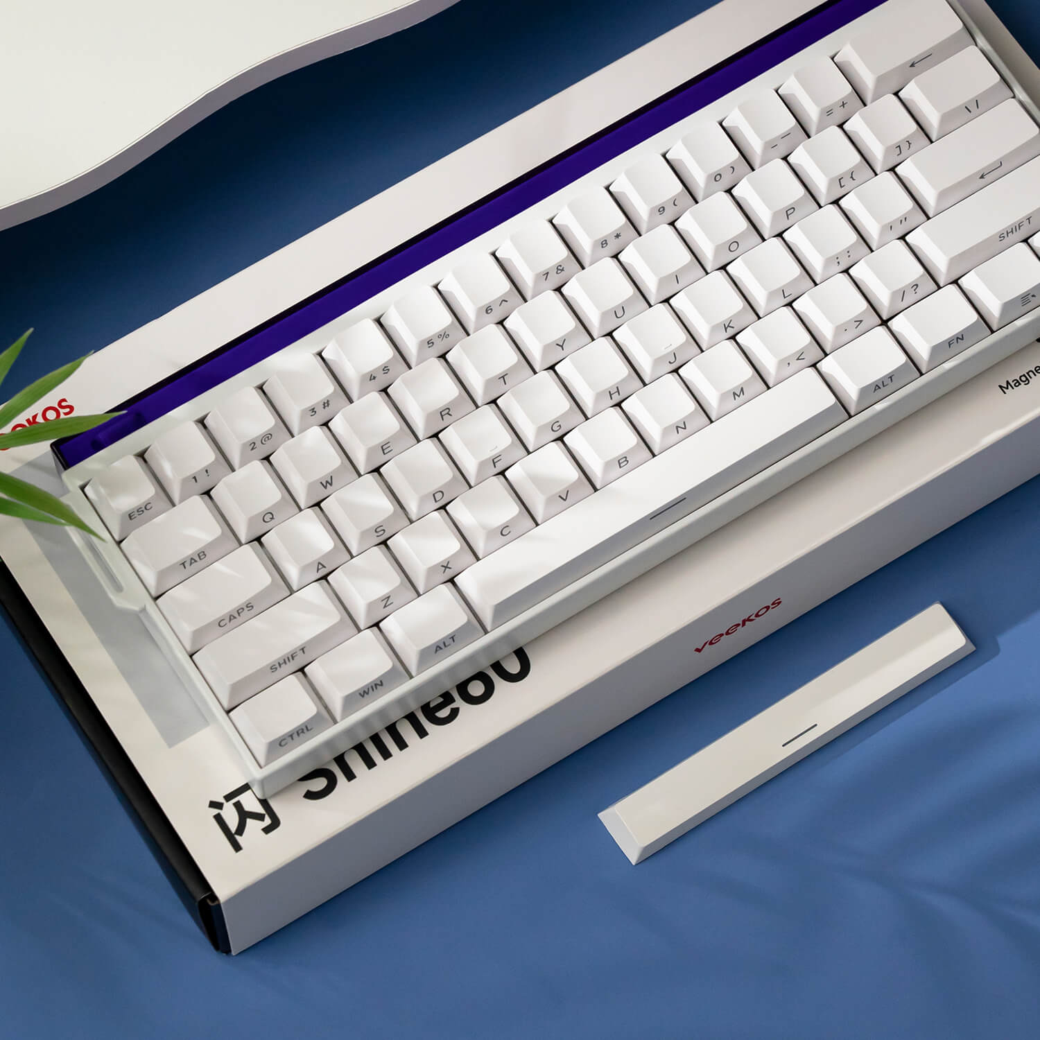 Teclado magnético Shine60 HE