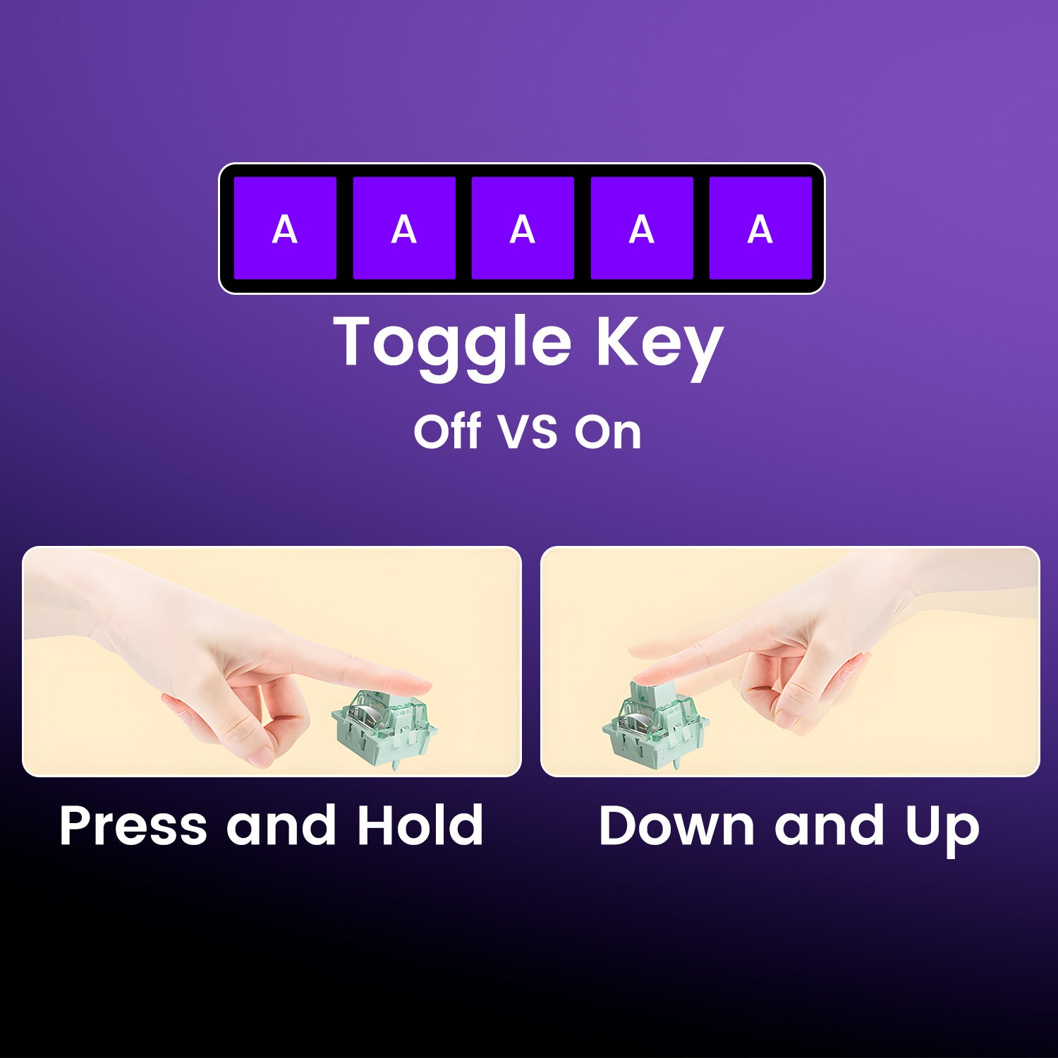 Veekos Shine60 HE Magnetic Keyboard Toggle Key